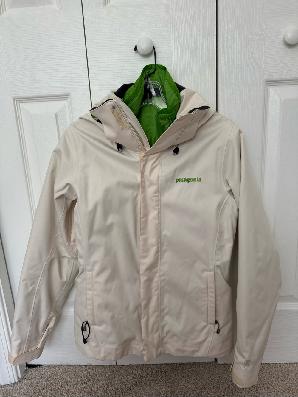 Patagonia Women's Ski Jacket with Green Lining